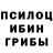 Галлюциногенные грибы ЛСД Lotonia Ramsay