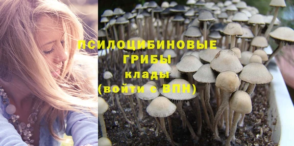 гидропоника Алзамай
