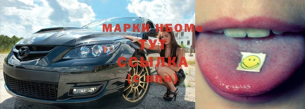 гидропоника Алзамай